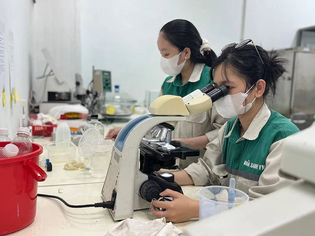 Quảng Ngãi: Ethanol Dung Quất trở lại đường đua năng lượng xanh