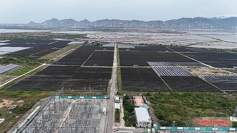 Khánh Hòa: Lựa chọn nhà đầu tư dự án điện mặt trời gần 1.000 tỷ đồng