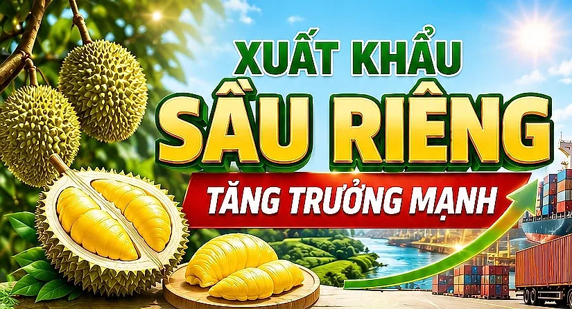 Infographic | Xuất khẩu sầu riêng tăng trưởng mạnh