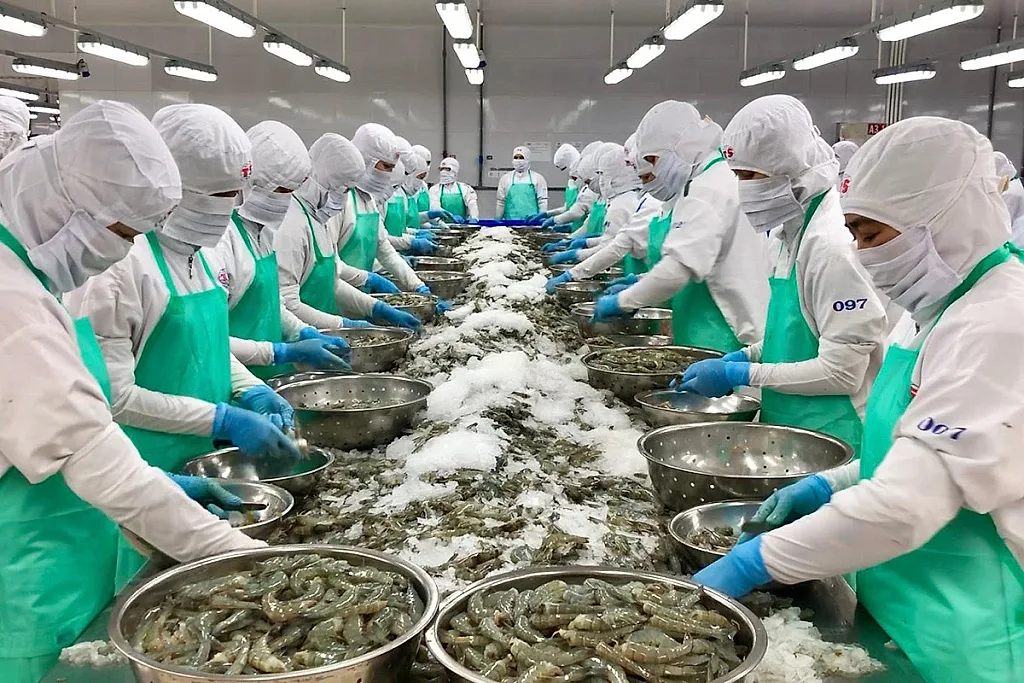 Xuất khẩu thủy sản Việt Nam trước cơ hội mới từ FTA Việt Nam - EFTA
