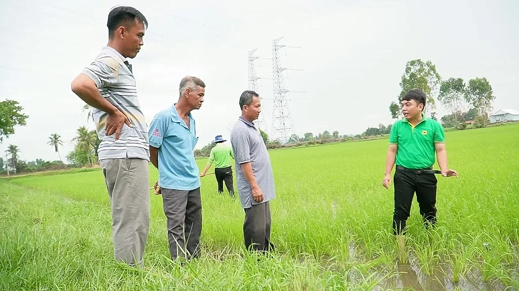 Khi đất được ‘hồi sinh’, cây lúa tự khắc khỏe mạnh