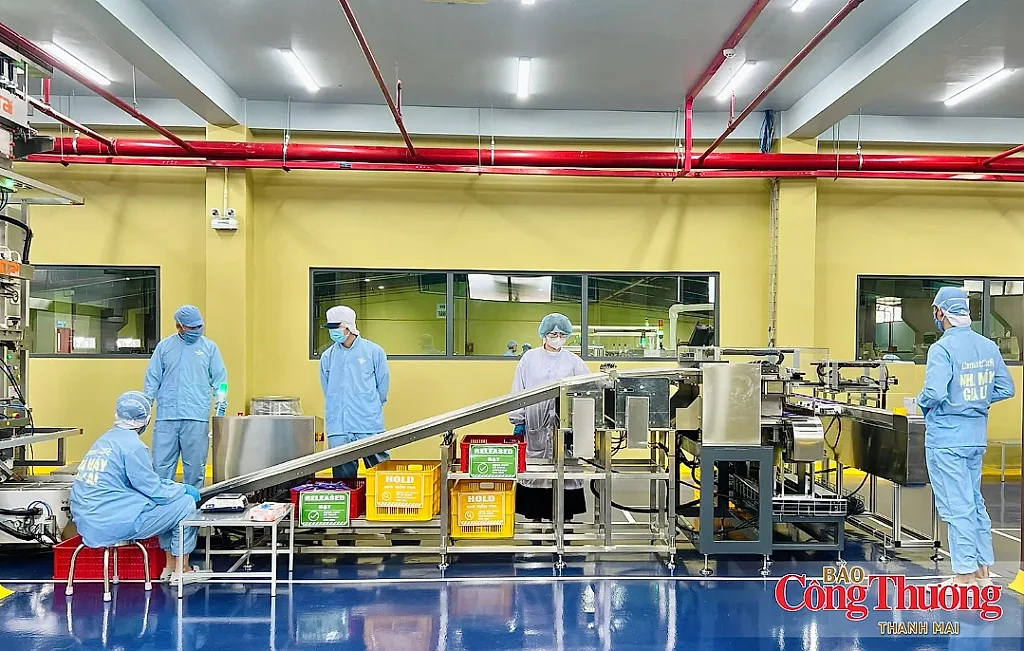 Gia Lai: Nhiều chỉ tiêu tăng trưởng ấn tượng trong 6 tháng đầu năm