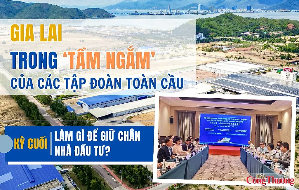 Gia Lai trong ‘tầm ngắm’ của các tập đoàn toàn cầu - Kỳ cuối: Làm gì để giữ chân nhà đầu tư?