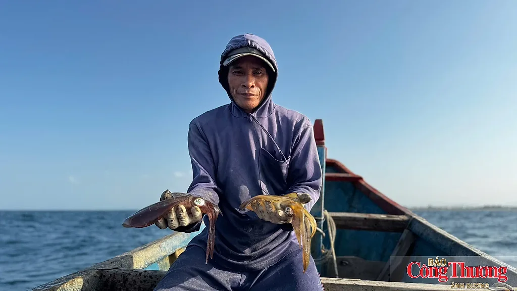 Ngư dân Quảng Ngãi thu tiền triệu mỗi ngày nhờ nghề ‘bẫy’ mực