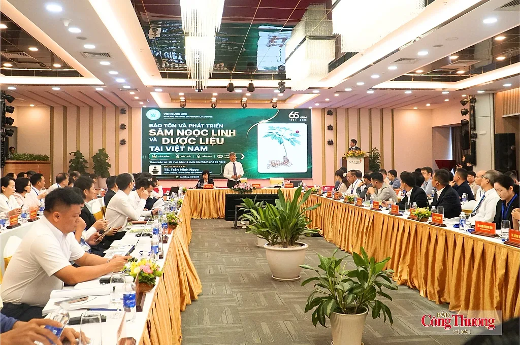Tìm lời giải đưa Sâm Ngọc Linh thành thương hiệu toàn cầu