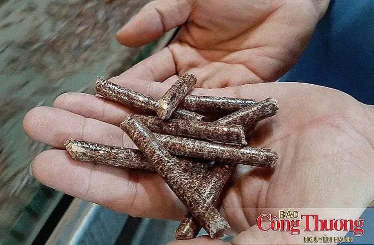 Vì sao ngành gỗ vẫn loay hoay với vùng nguyên liệu?