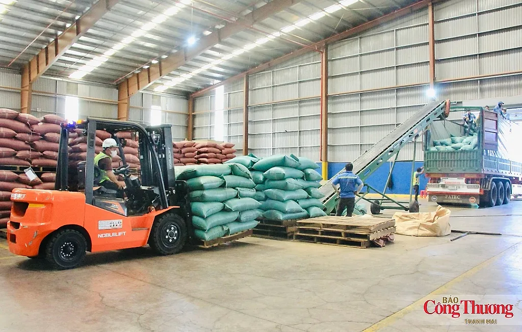 Cà phê tiếp tục giữ 'ngôi vương' xuất khẩu của Gia Lai
