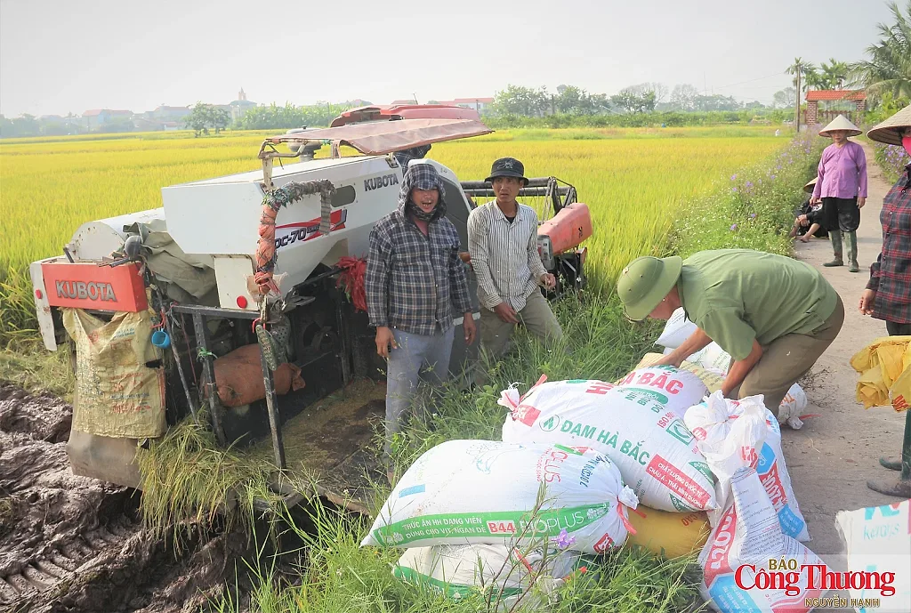 Xuất khẩu nông, lâm, thủy sản đạt gần 42,8 tỷ USD sau 7 tháng năm 2026