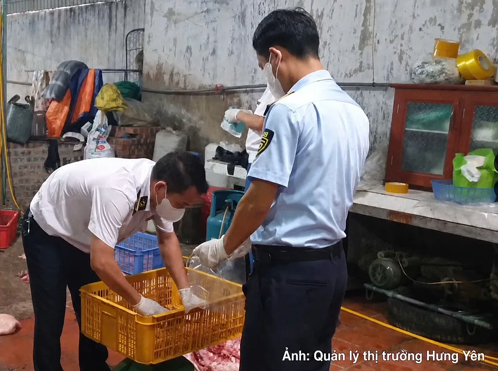 Chuyển cơ quan điều tra vụ gần 1 tấn thịt lợn nghi nhiễm dịch tả lợn châu Phi — Cục Quản lý và Phát triển thị trường trong nước