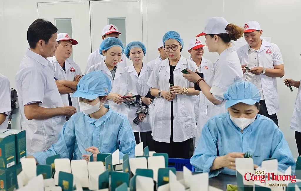 Gia Lai tạo động lực bứt phá từ các Nghị quyết của Bộ Chính trị