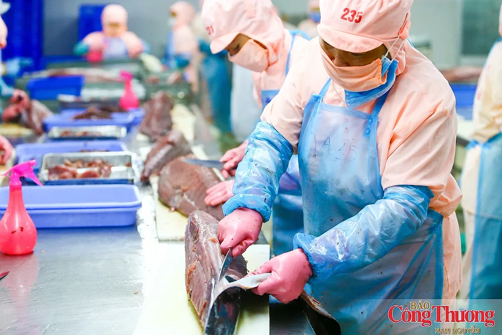 VIFTA mở thêm dư địa cho hàng Việt tại thị trường Israel