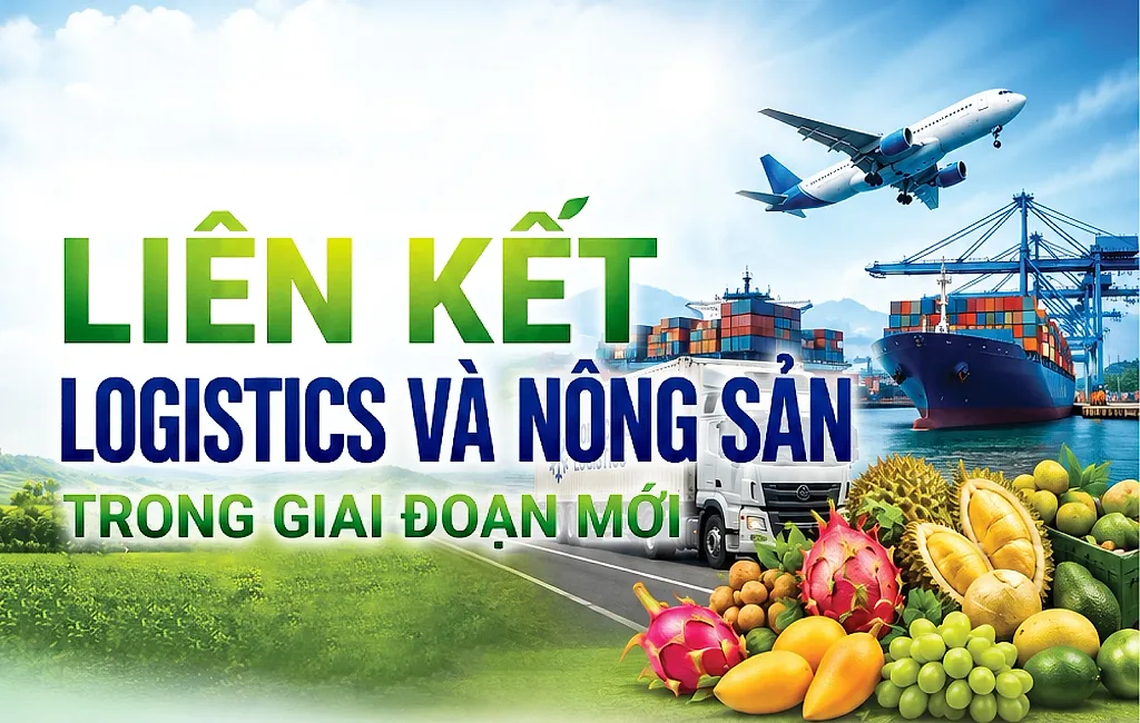Infographic | Liên kết logistics và nông sản trong giai đoạn mới