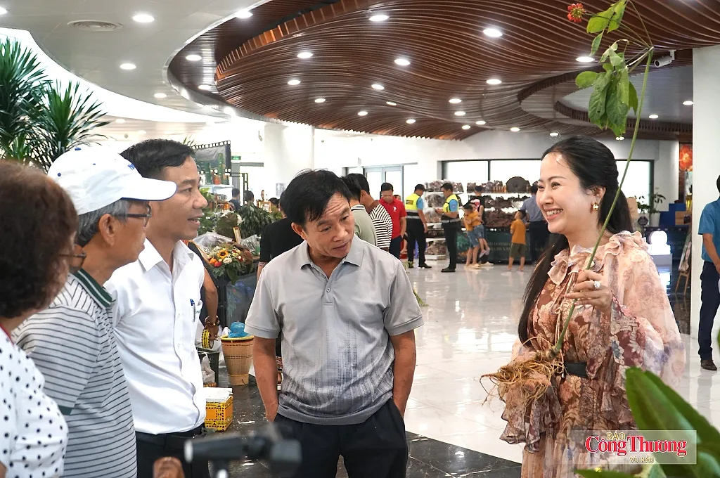 Lễ hội Sâm Ngọc Linh và Dược liệu 2026: Kết quả thương mại ấn tượng