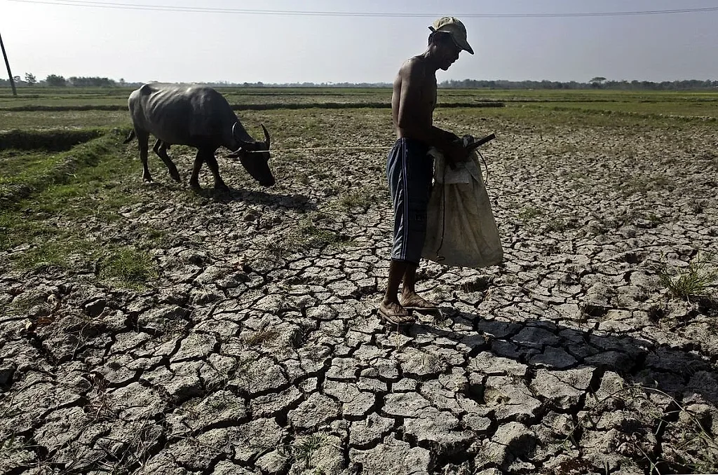 Philippines duy trì nhập khẩu gạo để ứng phó El Niño
