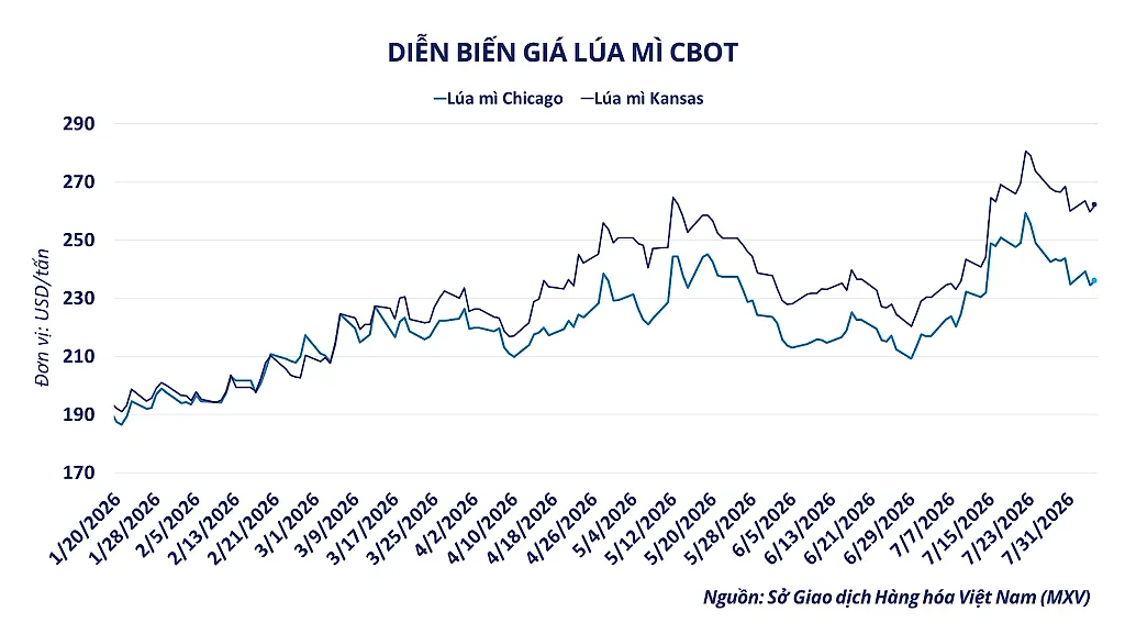 anh-5_-dien-bien-gia-lua-mi-cbot.png