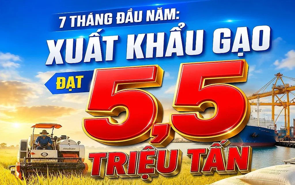 Infographic | 7 tháng đầu năm: Xuất khẩu gạo đạt 5,5 triệu tấn