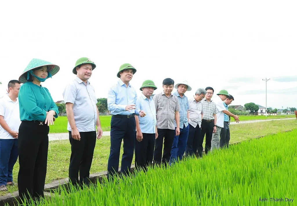 Nghệ An: Đột phá sinh kế nông nghiệp - Tầm nhìn đa chiều, giảm nghèo bền vững