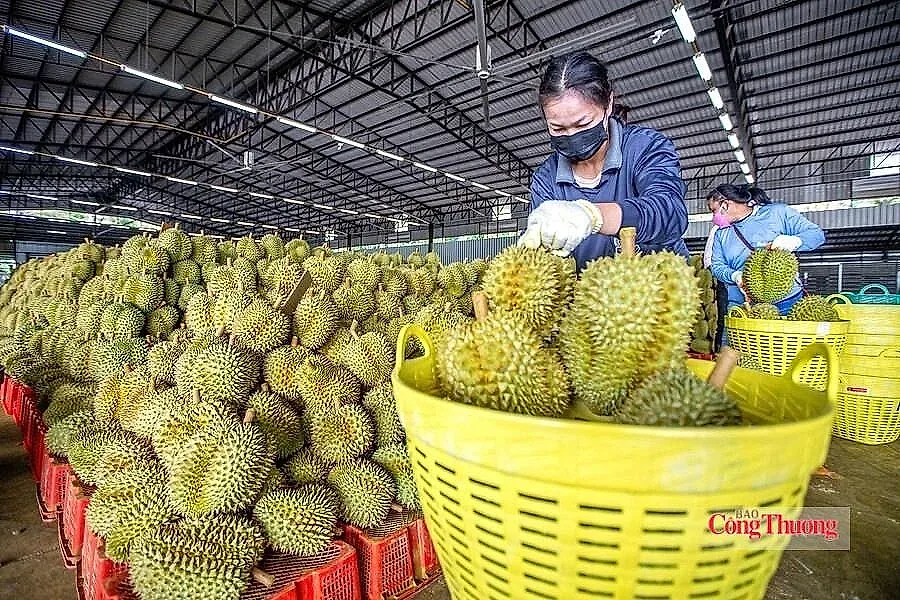 Nhiều thị trường điều chỉnh SPS, nông sản xuất khẩu cần lưu ý gì?