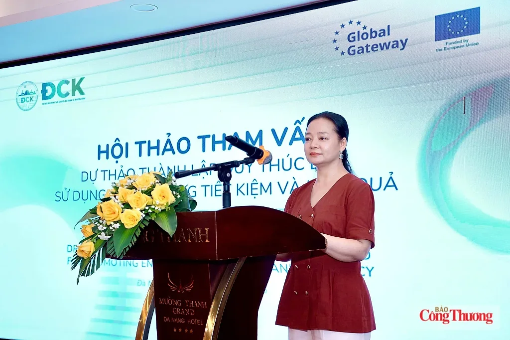 Tham vấn mô hình Quỹ thúc đẩy sử dụng năng lượng tiết kiệm và hiệu quả