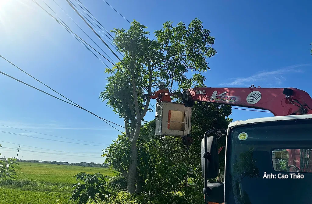 Ngành điện Hà Tĩnh tiếp sức nông thôn mới và chuyển đổi số — Công ty Điện lực Hà Tĩnh