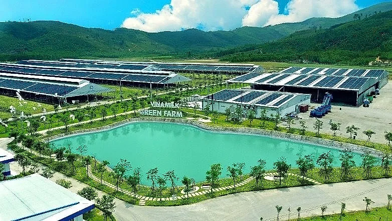 Khi một công ty sữa Việt chuyển hóa niềm tin thương hiệu thành tài sản 2,6 tỷ USD
