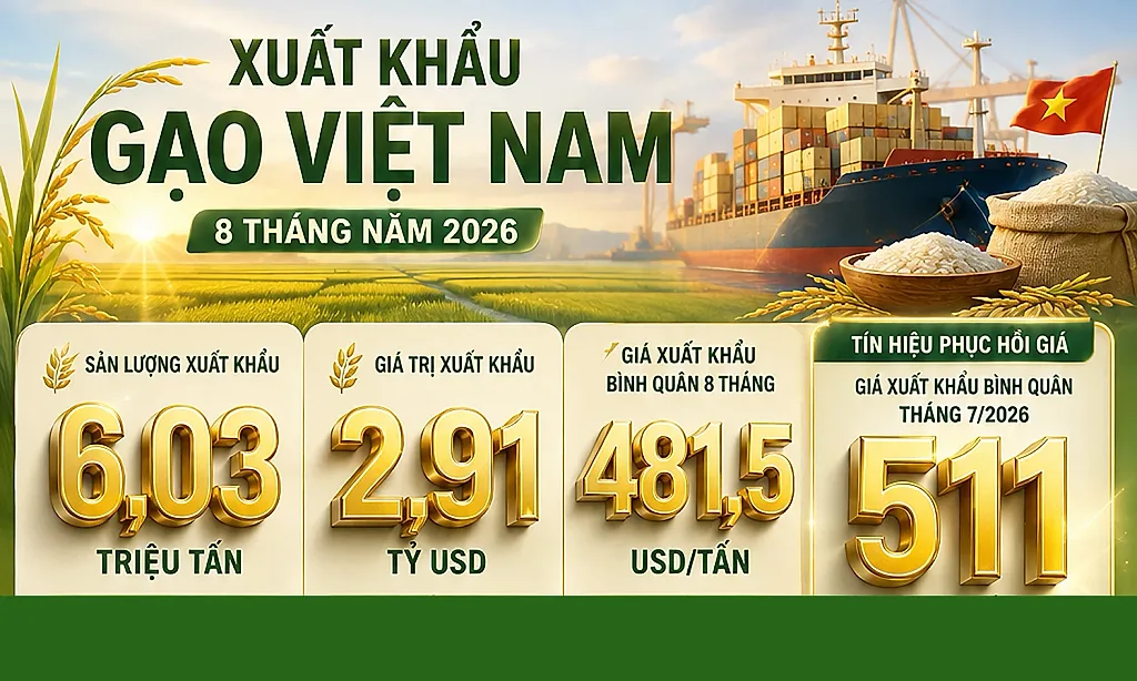 Infographic| Xuất khẩu gạo của Việt Nam 8 tháng năm 2026