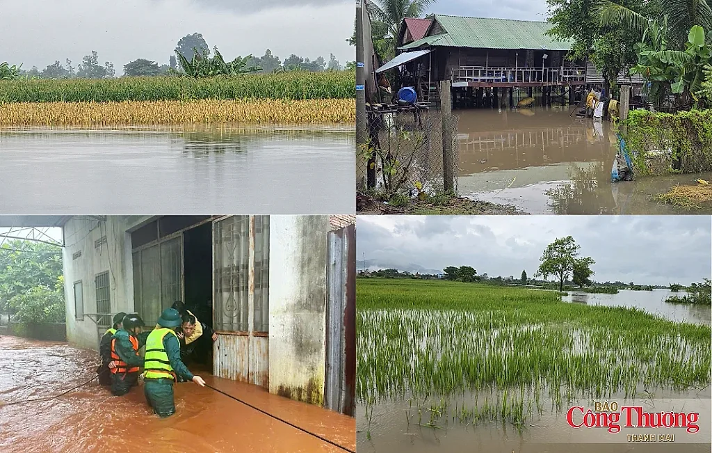 Gia Lai: Mưa lớn kéo dài, ruộng đồng, nhà dân chìm trong biển nước