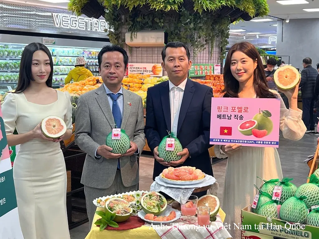 Việt Nam - Hàn Quốc hướng tới kim ngạch thương mại 150 tỷ USD vào năm 2030