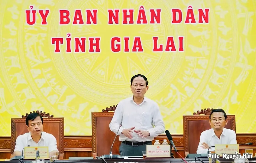 Gia Lai: Kinh tế tháng 8 duy trì đà tăng, nhiều lĩnh vực bứt phá