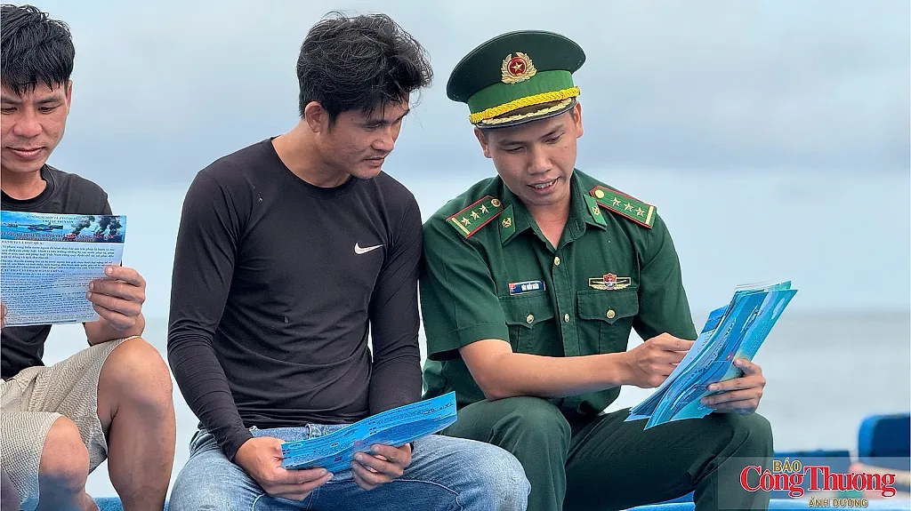 Quảng Ngãi: Quyết liệt chống khai thác IUU trong giai đoạn cao điểm