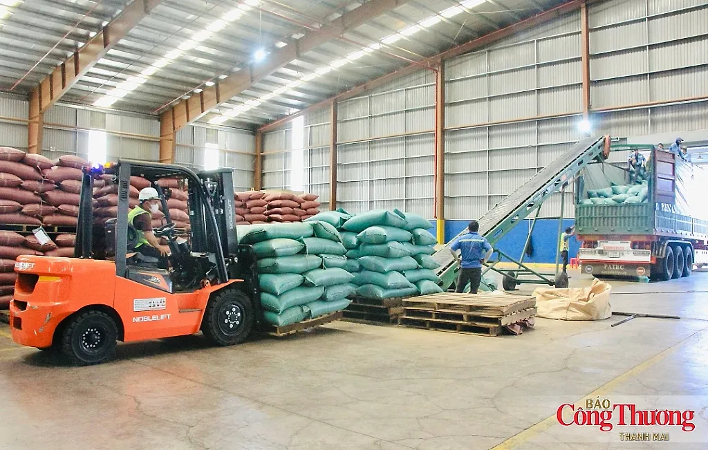 Gia Lai nâng giá trị ngành hàng xuất khẩu chủ lực
