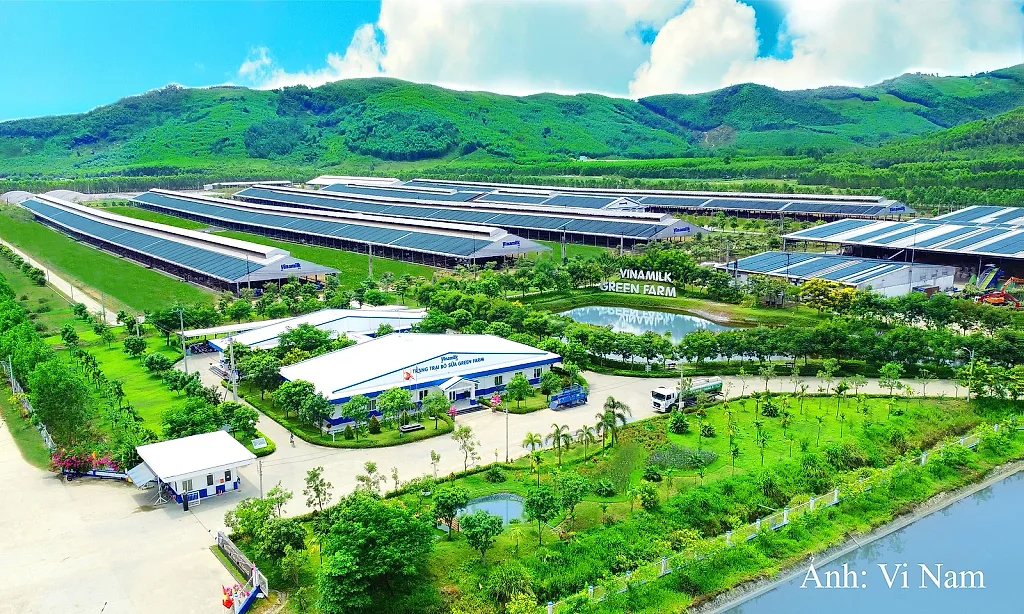 50 năm Vinamilk: Khi 'đạt chuẩn' chưa phải là điểm dừng