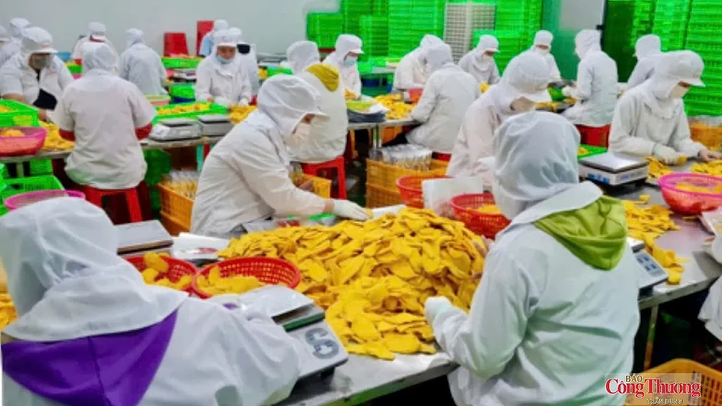 Cần Thơ: Phường Long Bình cụ thể hóa Nghị quyết 68 bằng hỗ trợ doanh nghiệp, hộ kinh doanh