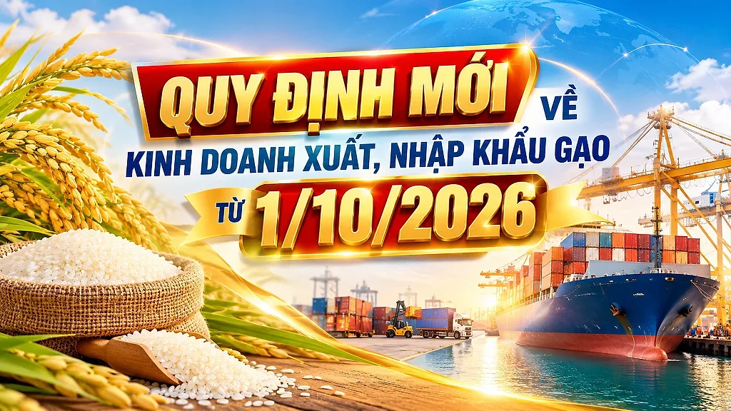 Infographic| Quy định mới về kinh doanh xuất, nhập khẩu gạo