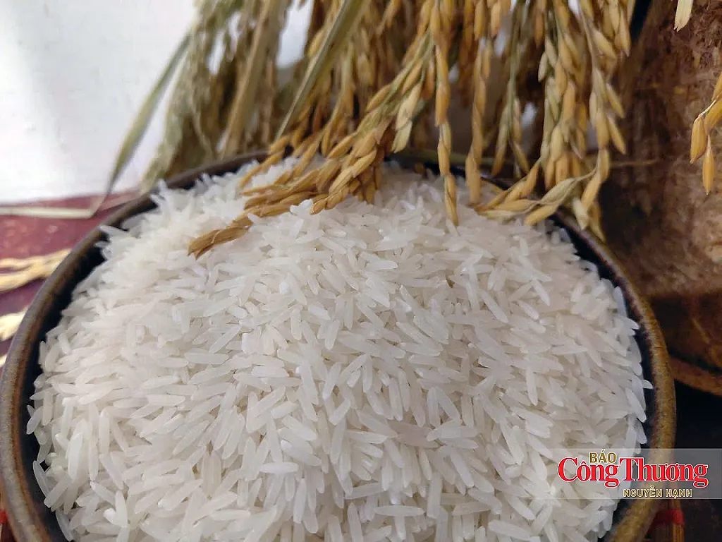Gạo Việt Nam: Không thể chỉ cạnh tranh bằng giá