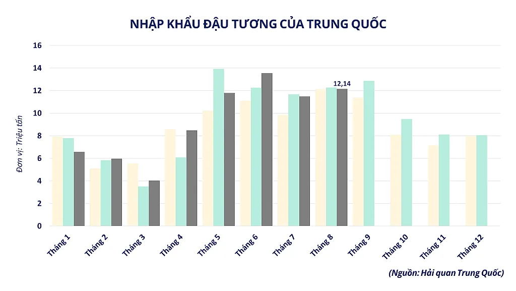 anh-4_-nhap-khau-dau-tuong-cua-trung-quoc-1-.png