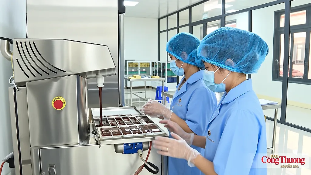 Sản xuất và tiêu dùng bền vững: Đẩy mạnh liên kết nhà cung ứng và bán lẻ