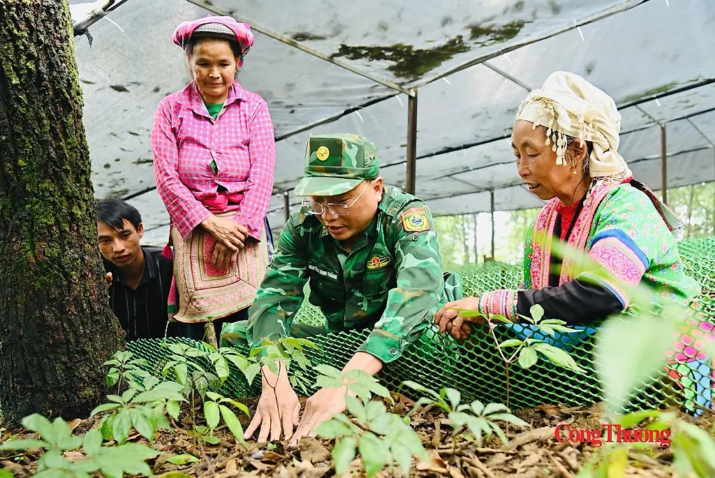 Điểm tựa sinh kế vùng biên - Bài 1: Từ câu chuyện 'lấy ngắn nuôi dài' trên đỉnh Ngài Thầu