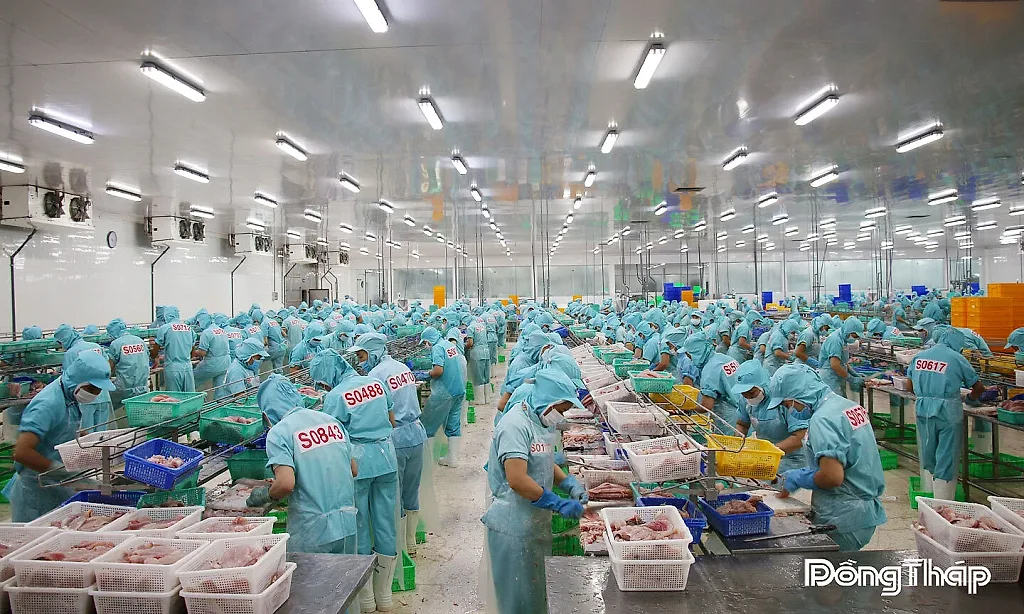 Công nghiệp tăng tốc, Đồng Tháp giữ vững đà tăng trưởng