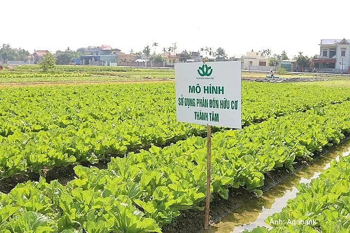 Agribank dừng rao bán khoản nợ của Công ty TNHH Phân bón Thành Tâm