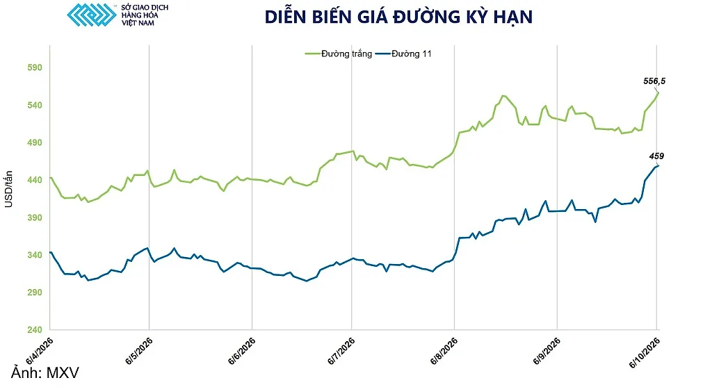 Giá đường tăng phiên thứ tư liên tiếp, lập đỉnh 19 tháng