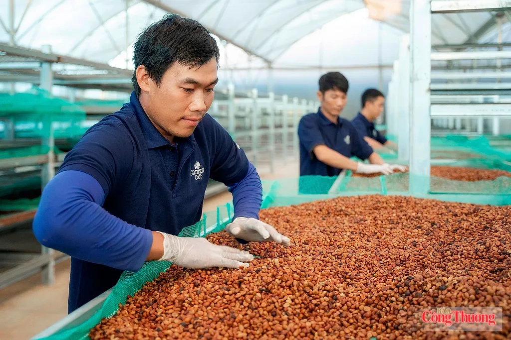 Thương hiệu quốc gia: 'Bệ phóng' cho hàng Việt vươn xa