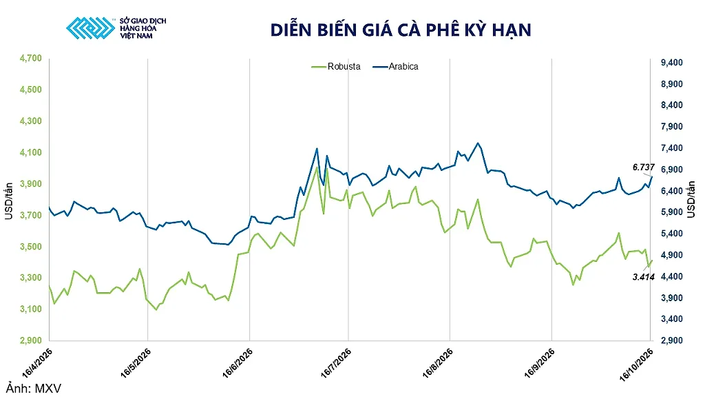 Giá cà phê Arabica tăng vọt hơn 6,5%
