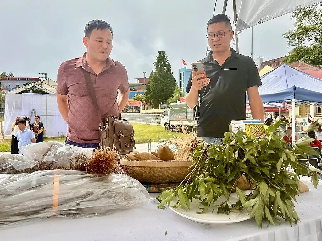 Lai Châu đưa nông sản vùng cao lên sàn thương mại số