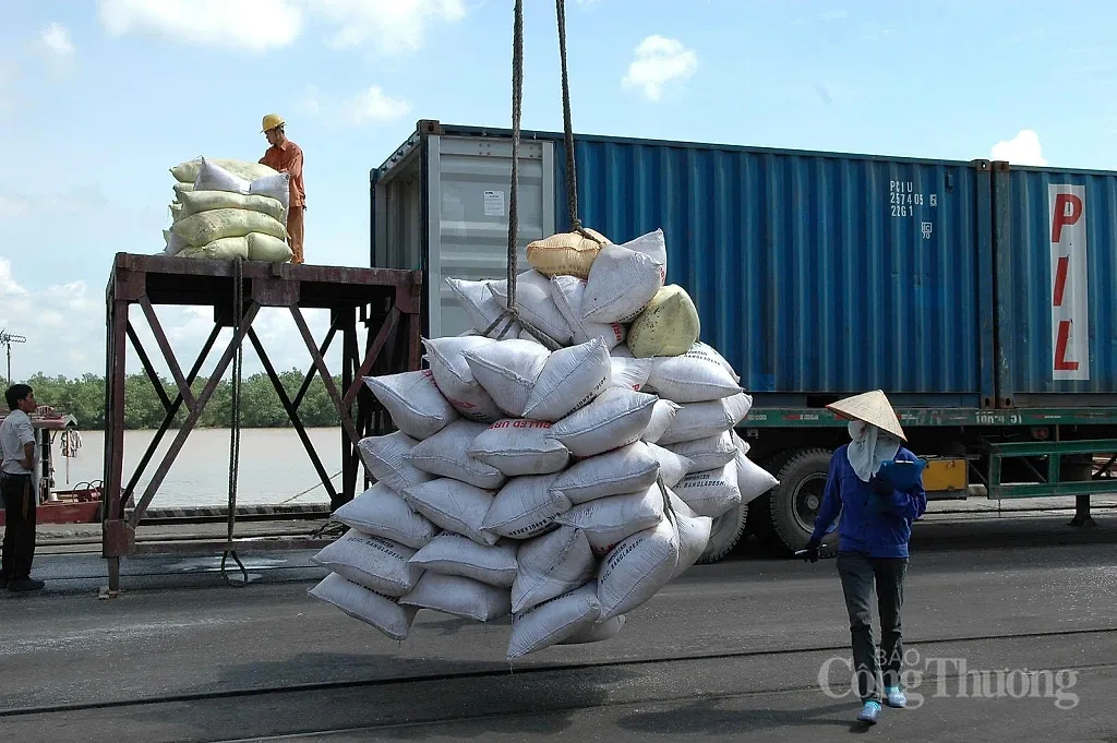 Cục Xuất nhập khẩu cập nhật thông tin về Lệnh 280 của Trung Quốc
