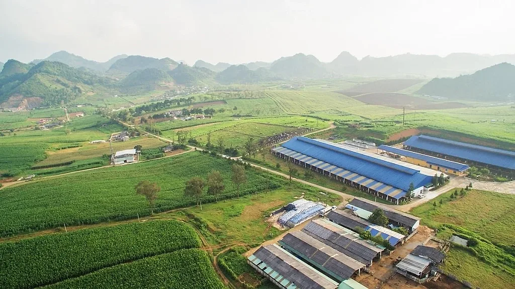 Thương hiệu sữa gần 70 năm tuổi tìm đường "tái sinh"
