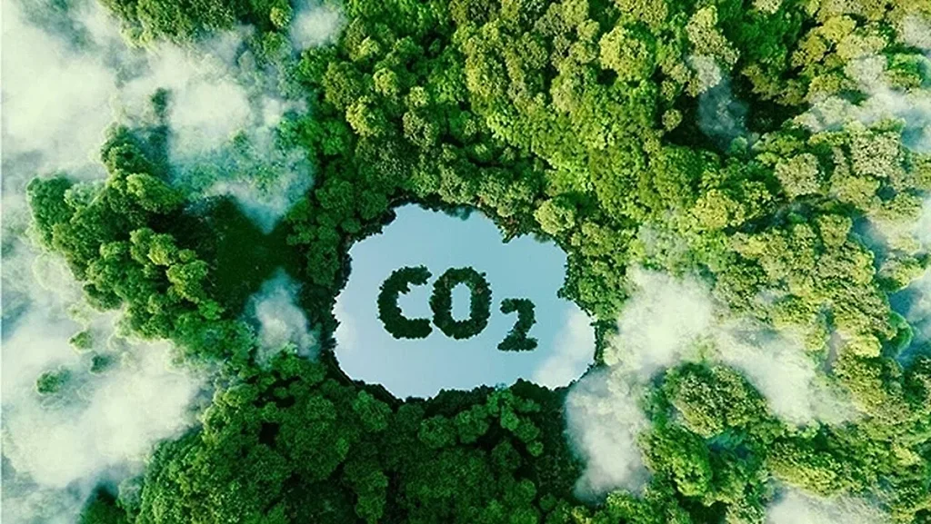 Hoàn thiện hành lang pháp lý, tăng tốc vận hành thị trường carbon