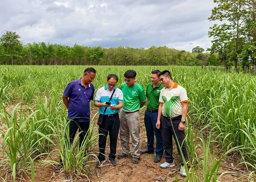 Phú Mỹ tăng cường hợp tác phát triển nông nghiệp tại Lào