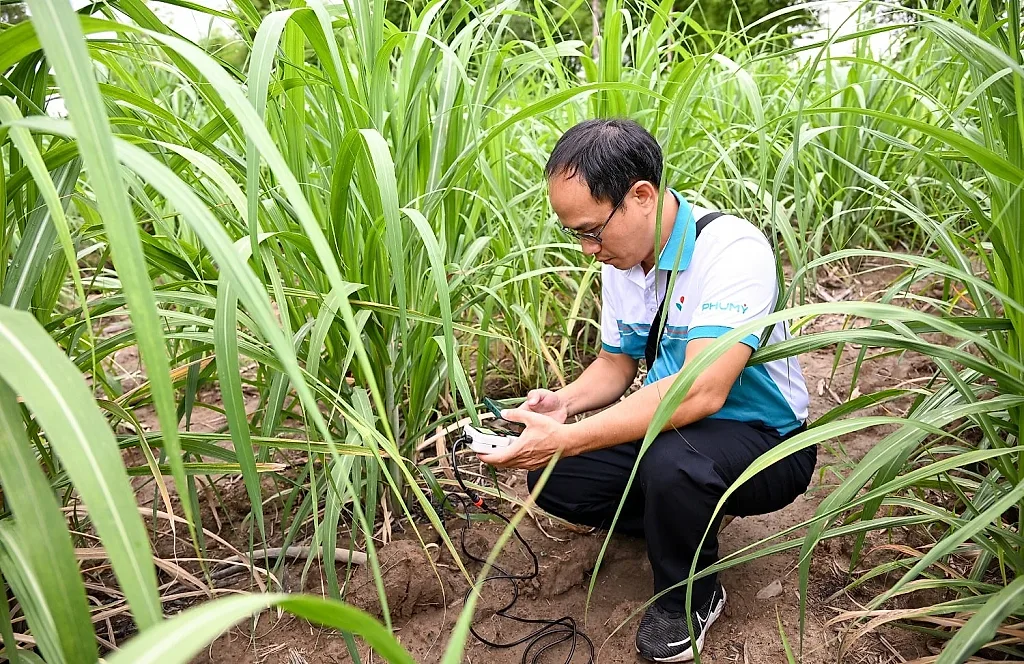 cdn.petrotimes.vn-stores-news_dataimages-2026-052026-23-10-_dsc-585020260523101217.jpg