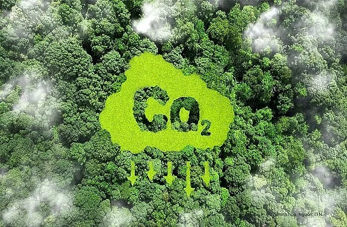 co2.jpg Tín chỉ carbon, tín chỉ, carbon